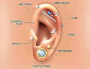 Przekłucie uszu – ile tak naprawdę kosztuje ta popularna usługa?