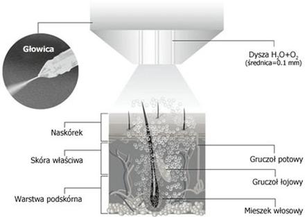 Składniki aktywne w kosmetykach