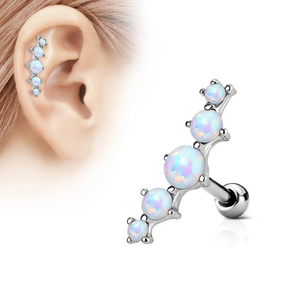Piercing ucha